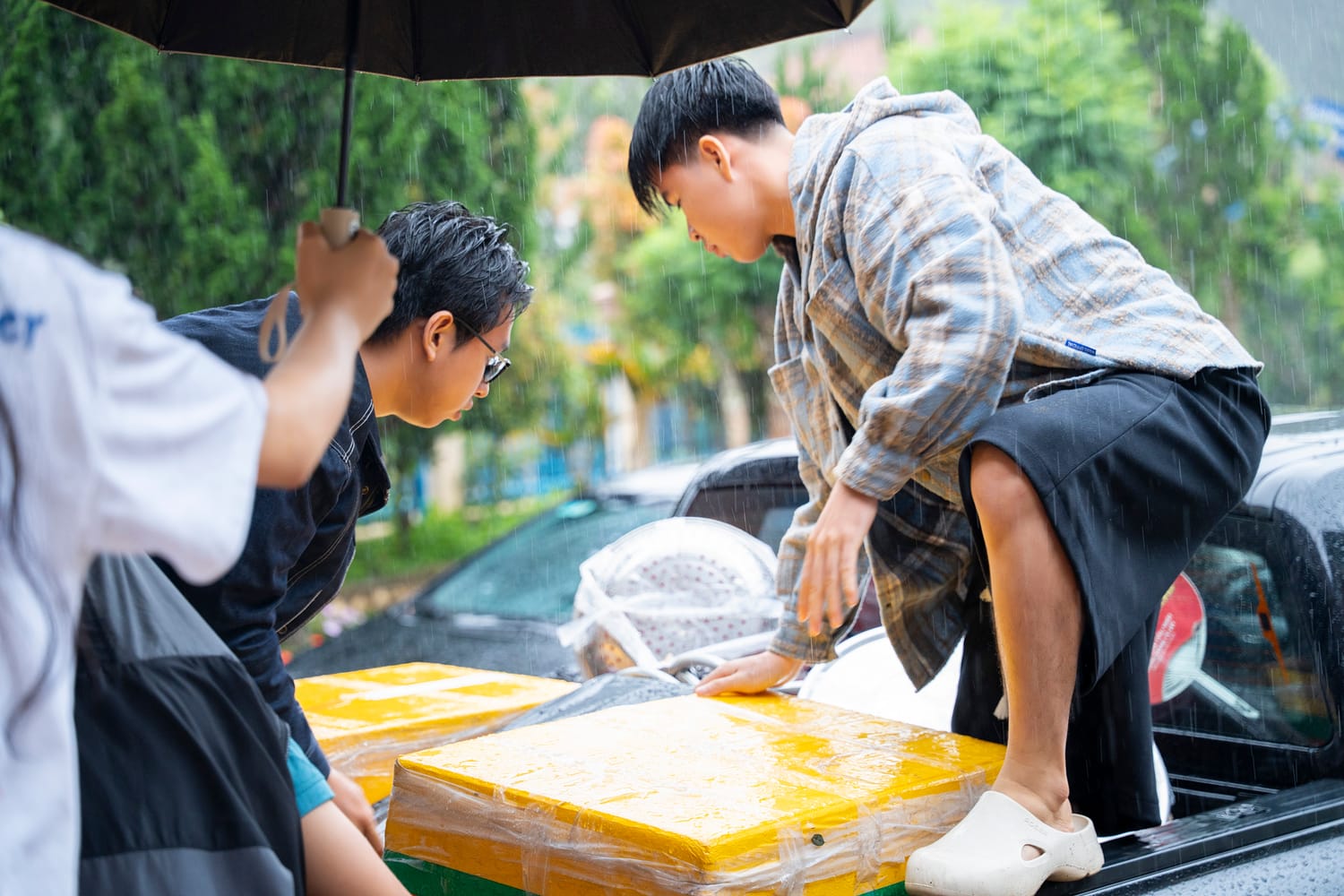 Tình nguyện viên